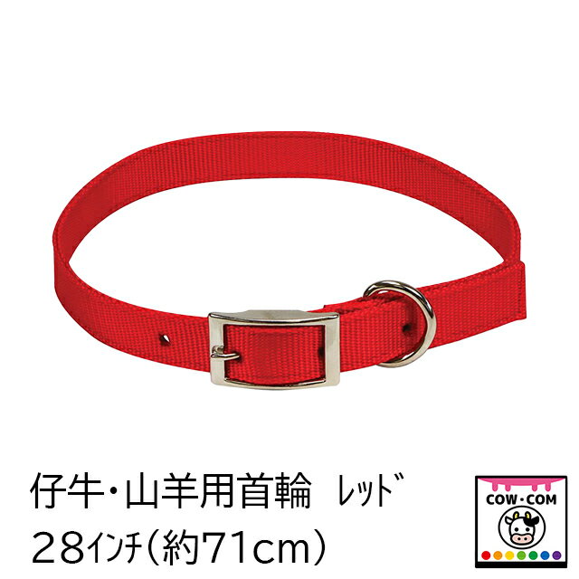 仔牛・山羊用首輪　レッド　（28インチ/71cm）【酪農用品 畜産用品】