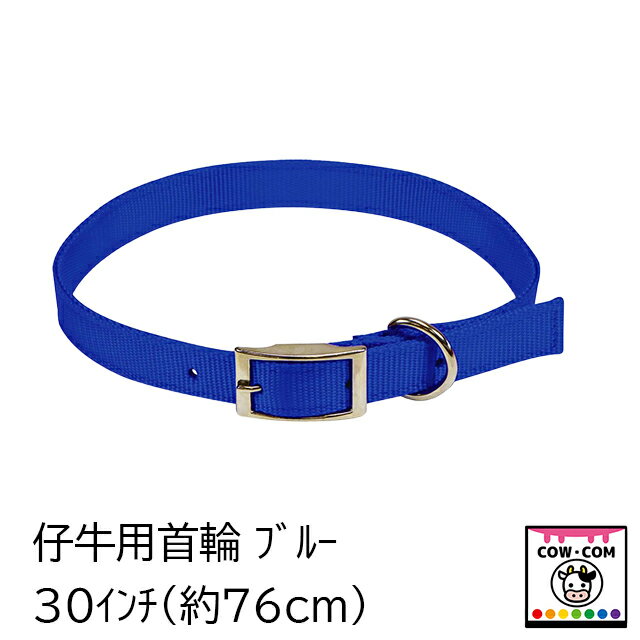 仔牛用首輪　ブルー　（30インチ/76cm）　【酪農用品 畜産用品】