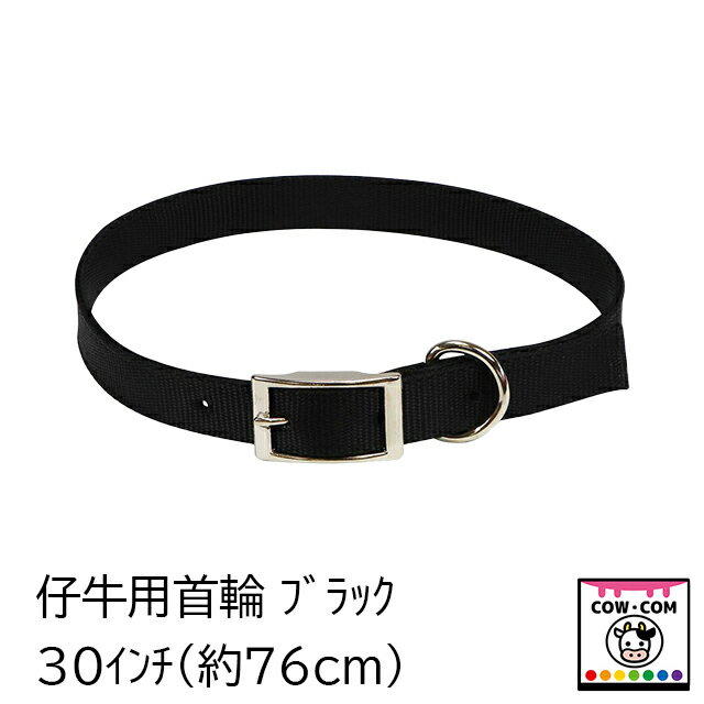 仔牛用首輪　ブラック（30インチ/76cm）【酪農用品 畜産用品】