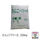 さんごパワーS　20KGカルシウム ミネラル補給に　【酪農用品 畜産用品 A飼料】