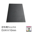 仔牛用牛床マット　EVAマット10mm　【酪農用品 畜産用品 牛舎 馬房 豚舎】