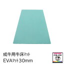 EVAマット30mm(成牛用牛床マット)【酪農用品 畜産用品 牛舎 馬房】