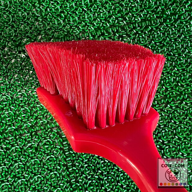 ���̥֥饷��(��åɡˡ��������� �ܻ����� �������ʡ�