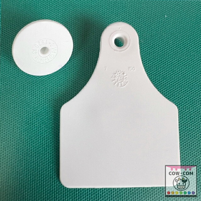 AF���䡼���������󥰥�顼������10�ĥ��åȡ����������� �ܻ����� ��ɸ��