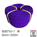 色8打ちロープ 8mm×300m 紫