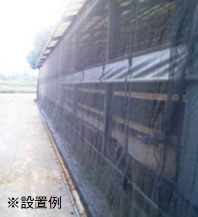 �����Х��ͥåȡ��⤵��4m������50m