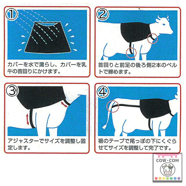 ���������롡���������� �ܻ����ʡ�