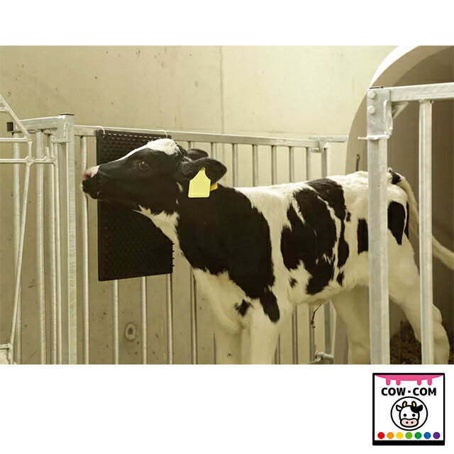 ������å��ޥåȡ�600��400mm���������� �ܻ����ʡ�