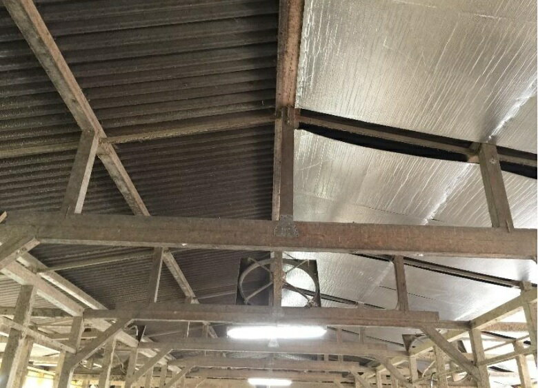 遮断熱シート（畜舎用）　幅1.2m×42m　1巻　【酪農用品 畜産用品 牛舎 馬房　冷風扇】