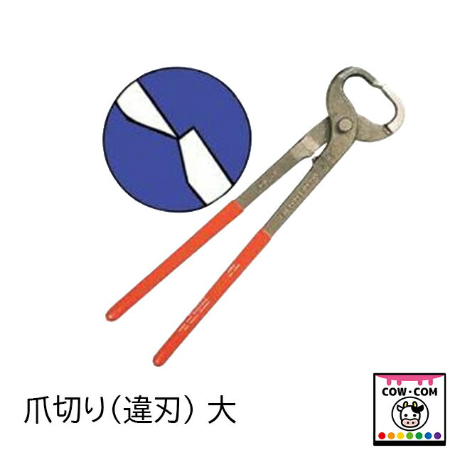 【商品説明】 ■牛/馬用の爪切りです 【関連】 カウコン/酪農用品/畜産用品/牛/乳牛/肉牛/子牛/仔牛/削蹄/爪切り/カッサク/カマ/削蹄用グラインダーディスク/削蹄用ディスク/削蹄ディスク/カマ/替刃/クロウチェック/ダブルサイド/ダブルエッジ/両刃/片刃/削蹄枠/削蹄機/削蹄師/バンテージテープ/ヴェトラップ/ベトラップ/テーピング/護蹄