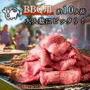 バーベキューで大人気 牛タン 約10人前 1200g(200g×6パック) 厚切り 焼肉 肉 BBQ キャンプ 厚切り牛タン 牛タンセット タン元・タン中 お肉 高級 送料無料 贈り物 お祝い