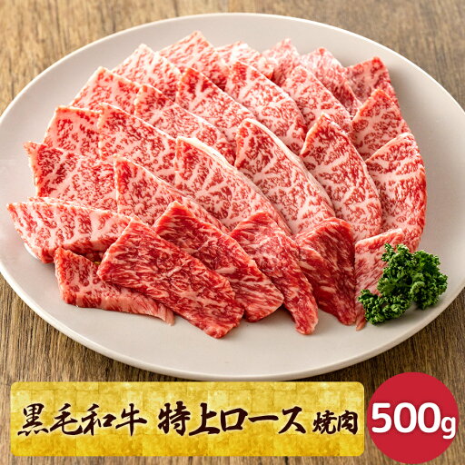 黒毛和牛 特上高級霜降り焼肉 500g A5ランク 和牛 サーロイン リブロース プレゼントBBQ 高級肉 牛肉ギフト 焼肉 お取り寄せグルメ 美味しい 贈り物 誕生日 お祝い 内祝い お歳暮 送料無料 黒毛和牛 特上高級霜降り焼肉 500g A5ランク 和牛 サーロイン リブロース プレゼントBBQ 高級肉 牛肉ギフト 焼肉 お取り寄せグルメ 美味しい 贈り物 誕生日 お祝い 内祝い お歳暮 送料無料
