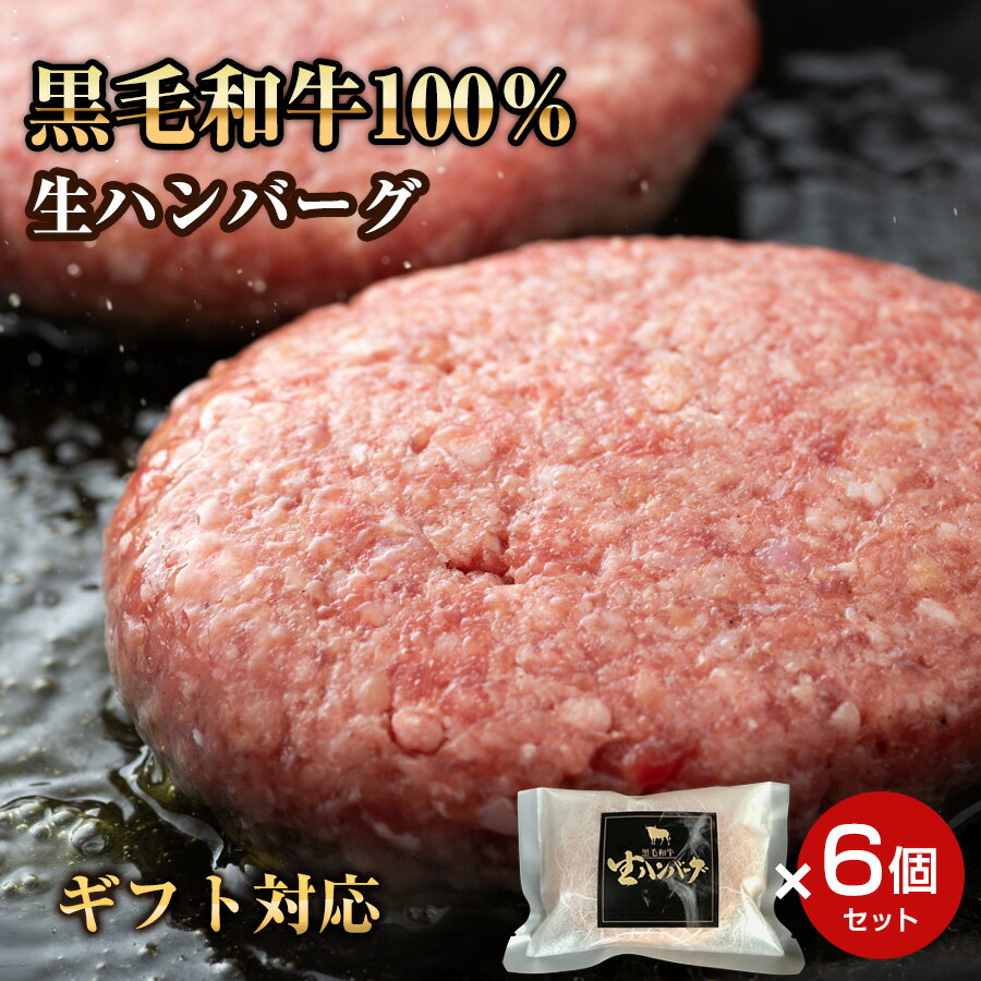 【ポイント10倍 1/9 20:00～お買い物マラソン】 ギフト 特選プレミアム霜降りハンバーグ 黒毛和牛の生ハンバーグ 6個入り ギフト 贈り物 プレゼント 美味しいもの お取り寄せグルメ お祝い 誕生日 お肉 高級 贈答品 送料無料