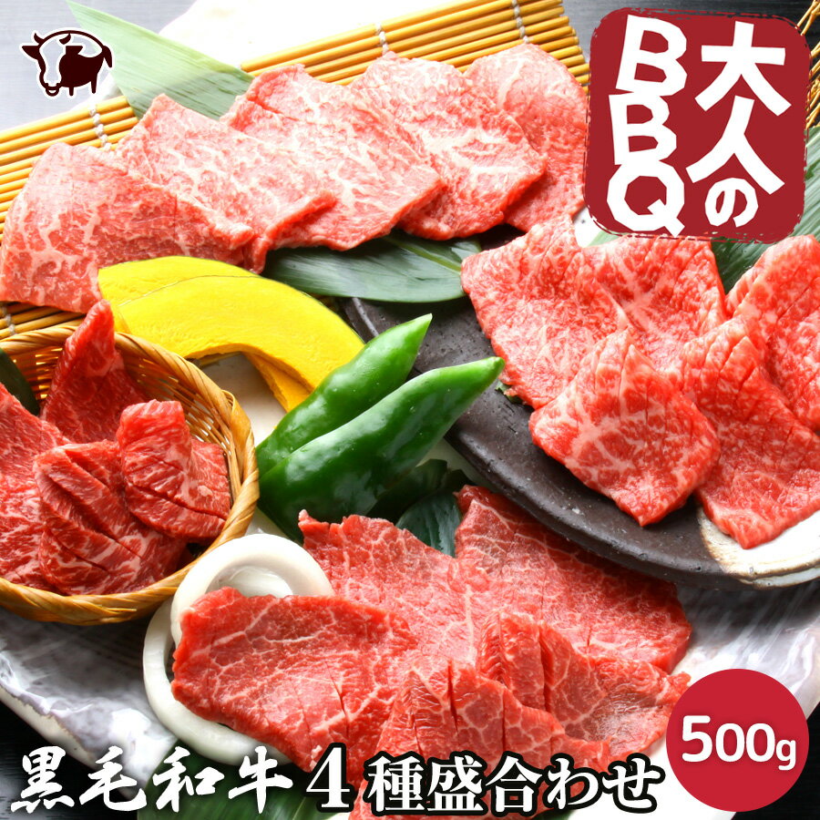 ͤBBQþ4碌µ奫ӥӥ