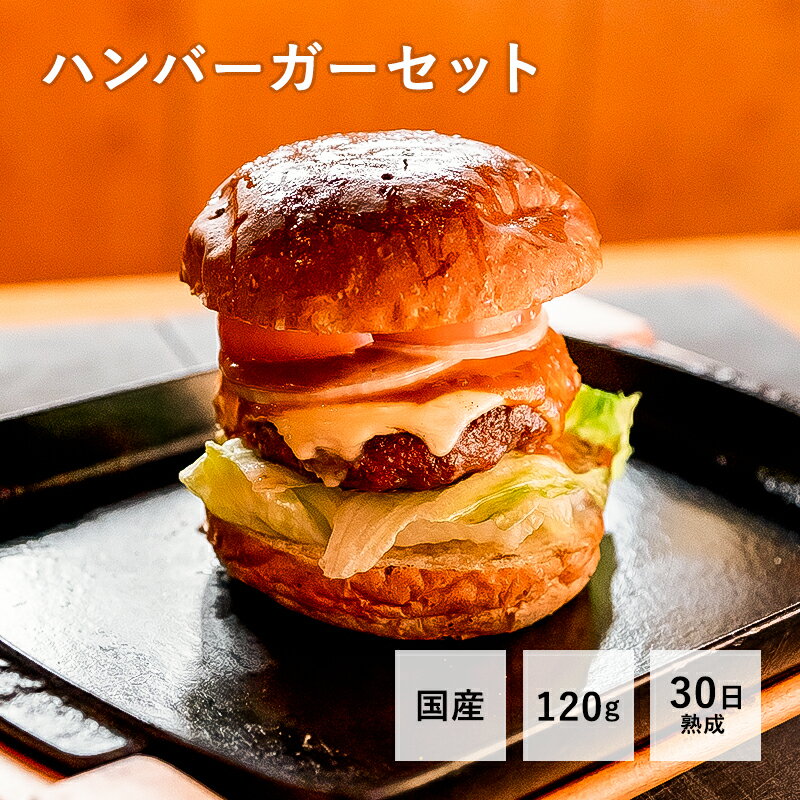 ハンバーガーセット120g30日熟成 ステーキ ミンチ ハンバーガー セット バンズ 国産 九州産BBQ バーベキュー アウト…