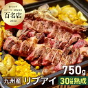 骨付き熟成肉リブアイ 750g 九州産 