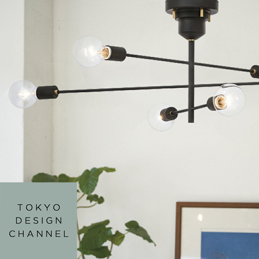 【ポイント10倍 11/17 12:00〜11/27 1:59まで】【送料無料】 アストル ■ インテリア ライト 電気 照明 【TOKYODESIGNCHANNEL】