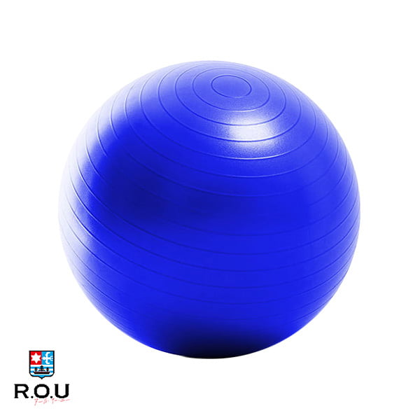 【R.O.U】La・VIE (ラヴィ) LAVIE ノンバーストジムボール 65cm コバルトブルー