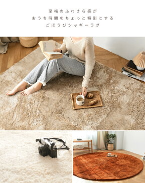 ふわさらシャギー ラグ ラグマット 円形 正方形 185×185 2畳 カーペット おしゃれ ウレタン8mmタイプ 北欧 新生活 20040 プロテック