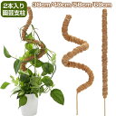 モンステラ 支柱 園芸支柱 ココスティック 観葉植物 支柱 園芸支柱 曲げる 植物 ガーデニング用 花ささえ ココナッツ支柱 植物サポート つる性植物 トマト ...