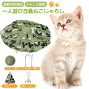 猫 おもちゃ 一人遊び 電動 猫じゃらし ねこ おもちゃ 自動 ネコ おもちゃ 自動回転 音声センサー感知 4階段スピード調整 USB充電式 猫 玩具 ねこじゃらし 猫遊び 猫用品 組立簡単 犬猫 猫用 電動おもちゃ ひも 遊べる 運動不足 ストレス解消 肥満対策 留守番対策