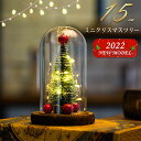 ミニツリー 卓上 ミニクリスマスツリー 15cm 透明 北欧 クリスマスツリー ミニ 卓上ツリー 小型 デコレーション ミニツリー 超ミニ キラキラ キッズ 子...