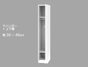 セミオーダーワードローブ 下ハンガー・上下棚 LASCO(ラスコ) 幅30〜40cm 奥行56.5cm 高さ180cm 全14色