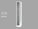 セミオーダーワードローブ 鏡扉・ Wハンガー LASCO(ラスコ) 幅30cm 奥行56.8cm 高さ180cm 全11色