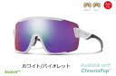 y5/10́u5{IvWGg[ōXɃ|CgUPzSMITH (X~X) WildCat Sunglasses ChLbg TOX zCg/oCIbg