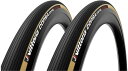 VITTORIA (ヴィットリア)CORSA CONTROL G2.0 CLINCHER TYRE クリンチャータイヤ ブラックスキン 2本組