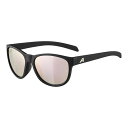 【5/1は「3倍！」エントリーでポイントUP】ALPINA NACAN II BLACK MATT SUNGLASSES アルピナ ナカン II ブラックマット サングラス ロードバイク 4003692316486