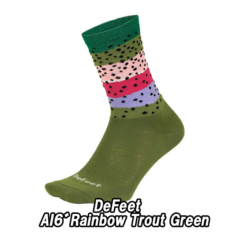 【5/5は「4倍!」エントリーでポイントUP】DeFeet(ディフィート)AI 6" Rainbow Trout Green ソックス 靴下