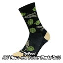 【9/20は「4倍!」エントリーでポイントUP】DeFeet(ディフィート)AI 6