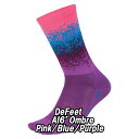 【7/5は「5倍!」Wエントリーで更にポイントUP】DeFeet(ディフィート)AI 6" Ombre Pink/Blue/Purple ソックス 靴下