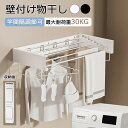 洗濯物干し 室内 壁 折畳み 隠れた式 壁付け物干し スペースを節約 ベランダ 物干し 防湿防錆 高耐荷重 屋外 物干し 壁付け 折りたたみハンガーラック ウォ...
