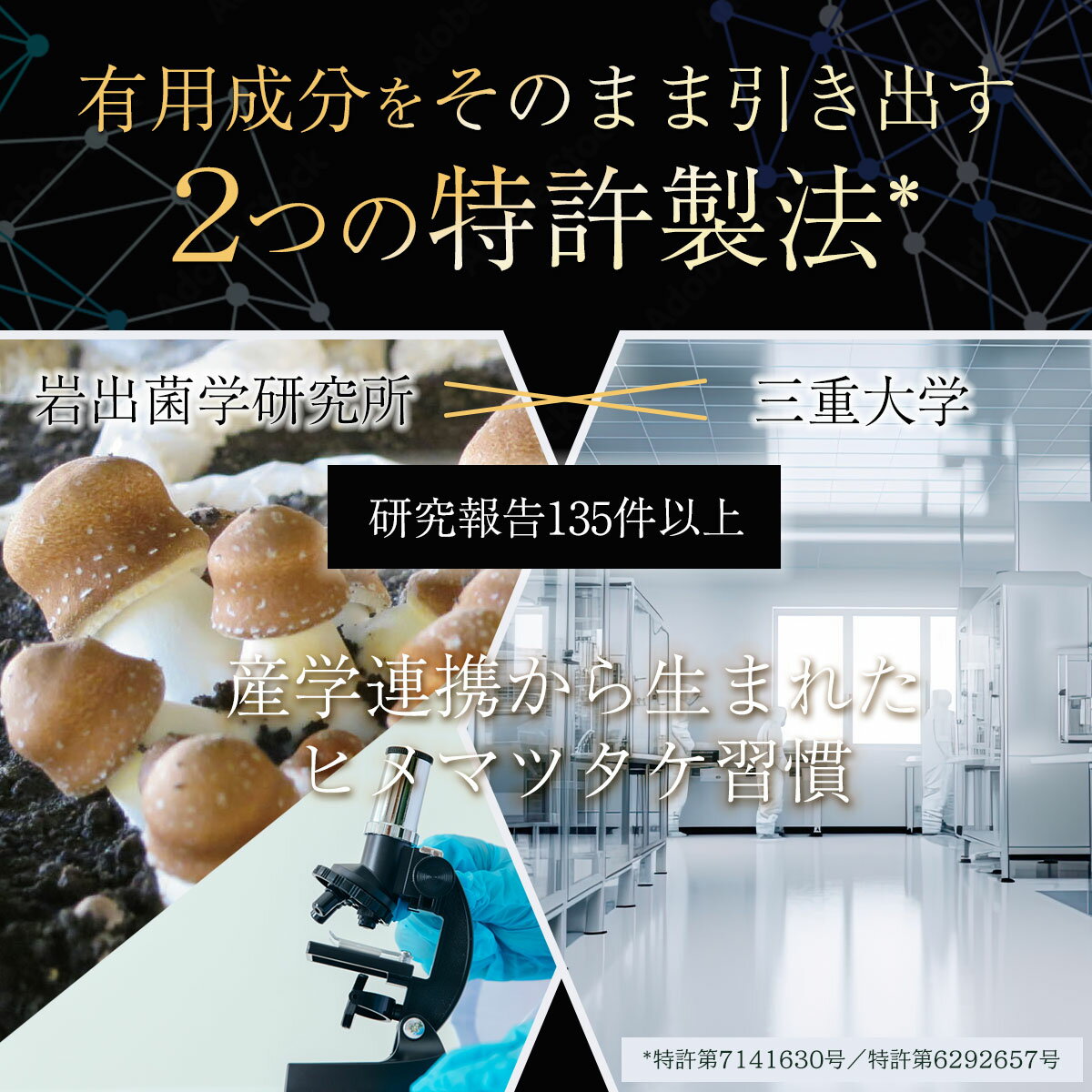 CP-101 ヒメマツタケ ヒメマツタケ亜臨界...の紹介画像2