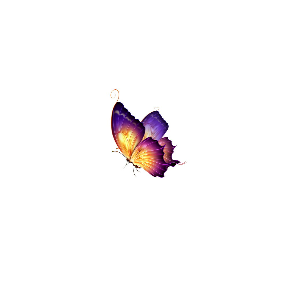 Rakuten - ステッカー クイーン バタフライ 蝶 女王 butterfly 昆虫 カスタム ドレスアップ