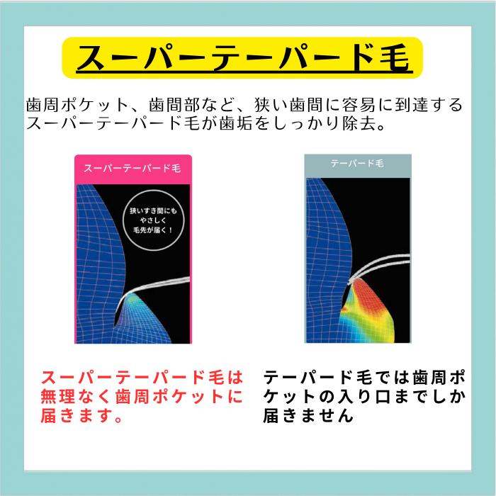 DENT.EX systema 42M/42H...の紹介画像2
