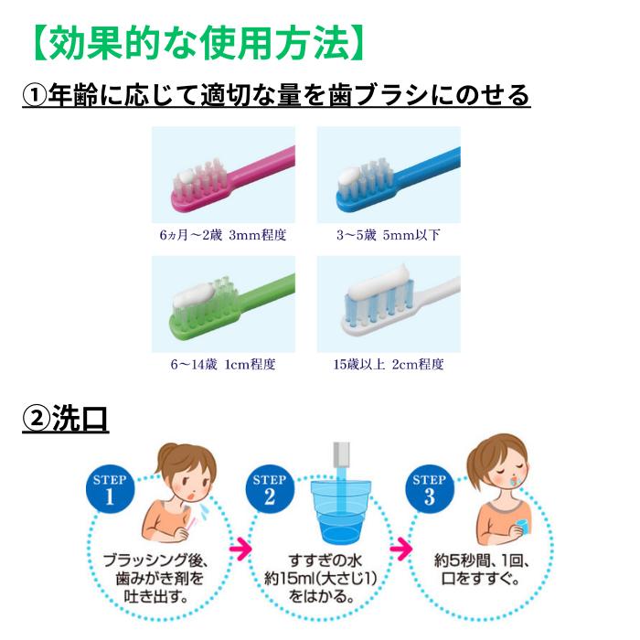 ���᤭ʴ �Ҷ� �����å����å� ������ 10��(60g) DENT.Check-Up ���ɤ�ϥߥ����ʥХʥʡ˥饤���� DENT.check up 500ppmF ����������