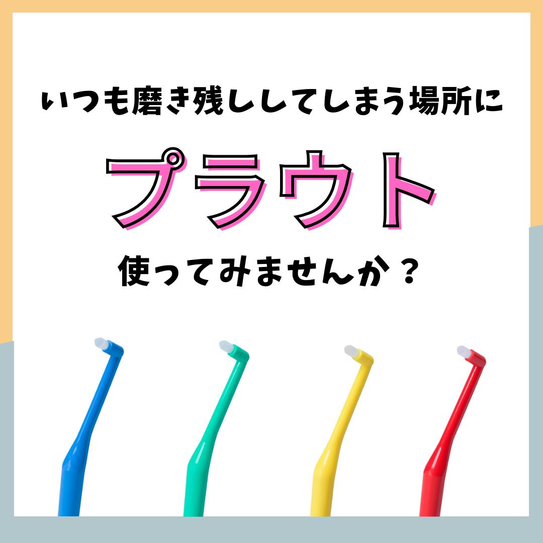 オーラルケア プラウト(Plaut) ワンタフト 1本 ※カラーは当店おまかせ 2