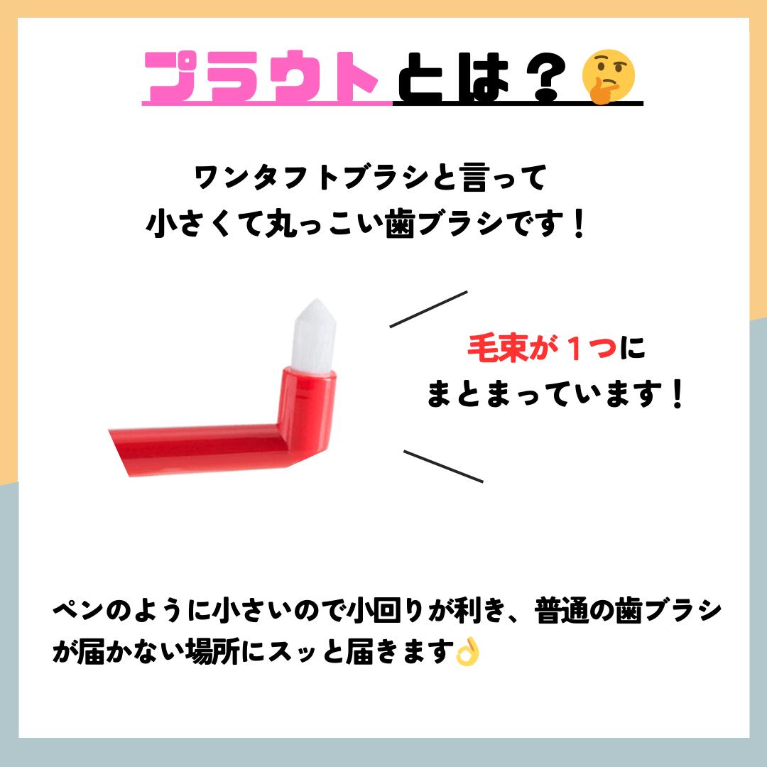 オーラルケア プラウト(Plaut) ワンタフト 1本 ※カラーは当店おまかせ 3