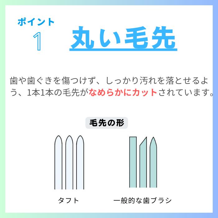 �ڳ�ŷ��󥭥�1�̡ۥ�����륱�� ���ե�24���֥饷 25�� tuft24