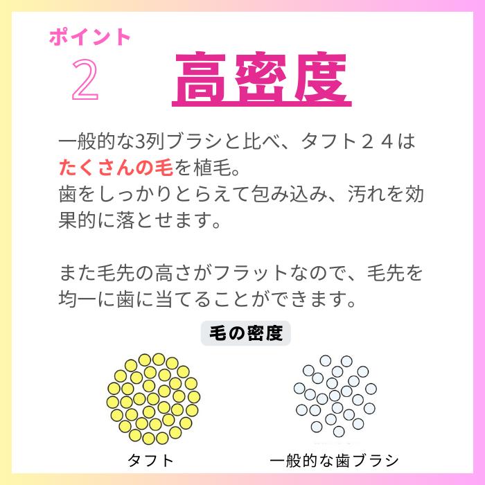 ������륱�� ���ե�24���֥饷 25�� tuft24