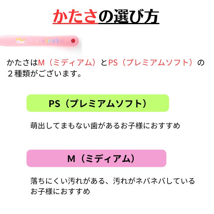 �ں��������֥饷����å��դ��ۥ�����륱�� ���ե�17�ʥץ�ߥ��ॽ�եȡ� ���֥饷25�� �Ҷ��� ������� ����������