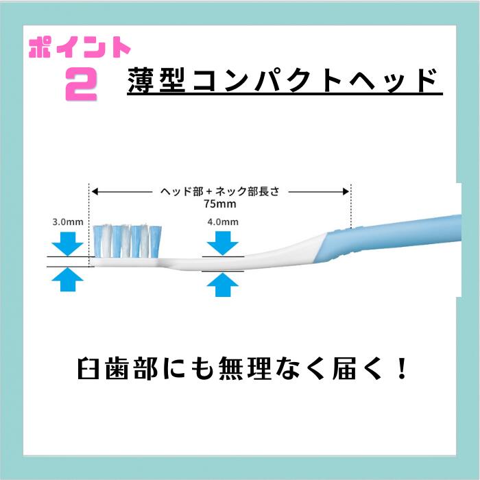 ライオン Check-up歯ブラシ チェックアップ 6本 歯科専売品 ※カラーは当店おまかせ