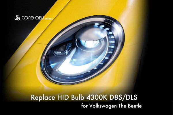 楽天クリーズオンラインCodeTech コードテック CS-D8S-4300K ザ・ビートル純正HID交換バルブ D8S/DLS 4300K