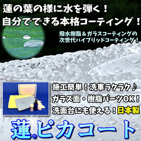 コーティング剤 車 日本製 ガラスコート剤 蓮ピカコート 10cc 撥水樹脂&ガラスコー...