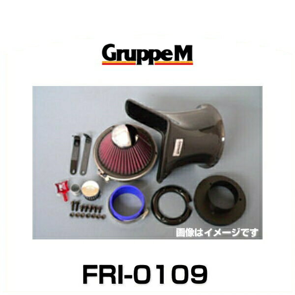 GruppeM グループエム FRI-0109 RAM AIR SYSTEM ラムエアシステム BMW用