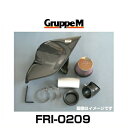 GruppeM グループエム FRI-0209 RAM AIR SYSTEM ラムエアシステム フォルクスワーゲン用（受注生産）