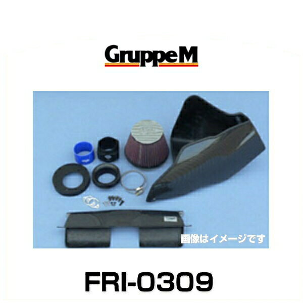 GruppeM グループエム FRI-0309 RAM AIR SYSTEM ラムエアシステム BMW用